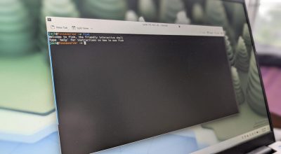 Bash ve Fish: Hangisi Komut Satırını Daha Kolay Hale Getiriyor?