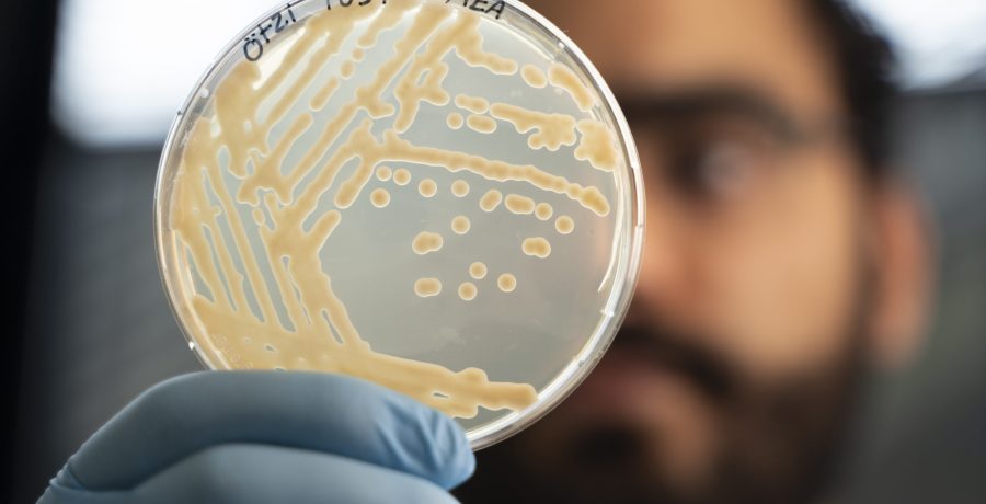 Ötzi Buz Adamda Donmuş Antik Mikroplar Hâlâ Büyümeye devam ediyor.