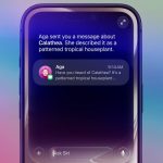 iPhone 11 iOS 27’ye güncellenebilecek ama Siri AI’yı kullanamayacak