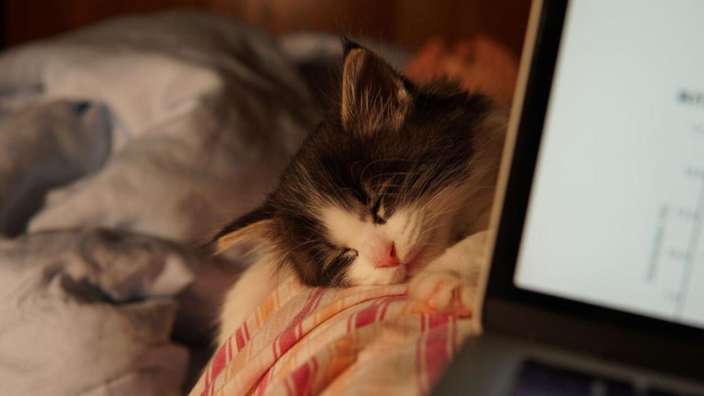 Windows’ta Hibernate Modunu Bulamıyor Musunuz?