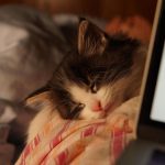 Windows'ta Hibernate Modunu Bulamıyor Musunuz?