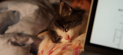 Windows’ta Hibernate Modunu Bulamıyor Musunuz?