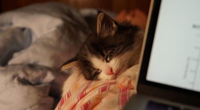 Windows’ta Hibernate Modunu Bulamıyor Musunuz?