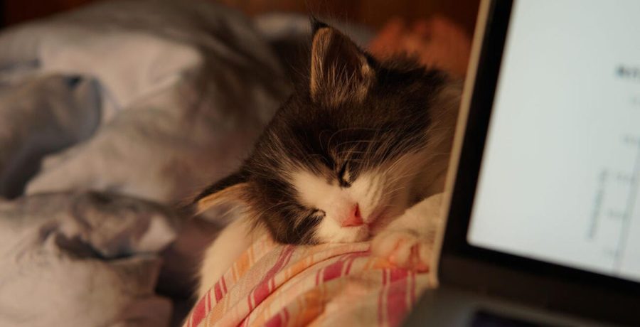 Windows'ta Hibernate Modunu Bulamıyor Musunuz?